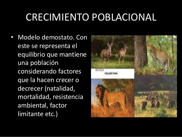 Población (ecologia)
