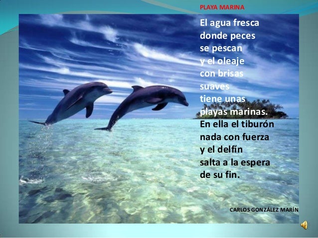 Poemas al mar alumnos 5º a