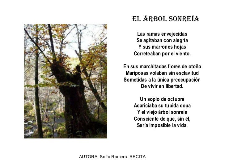 Poemas sobre el árbol Poemas sobre el árbol