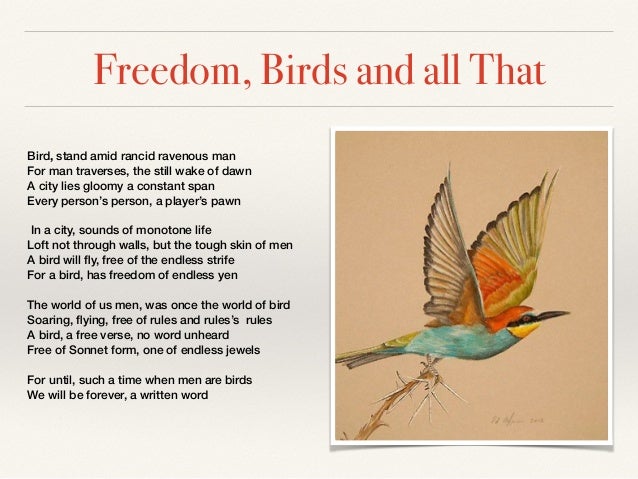 a poem on birds and men essay View and download poem analysis essays examples also discover topics, titles, outlines, thesis statements, and conclusions for your poem analysis essay. a poem on birds and men essay View and download poem analysis essays examples also discover topics, titles, outlines, thesis statements, and conclusions for your poem analysis essay.