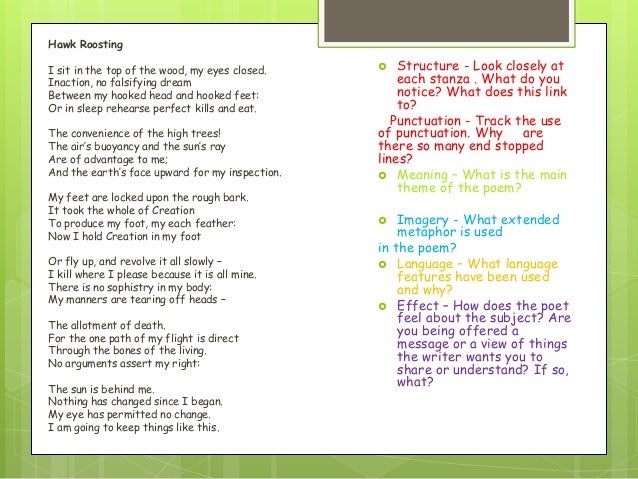 Critical thinking models