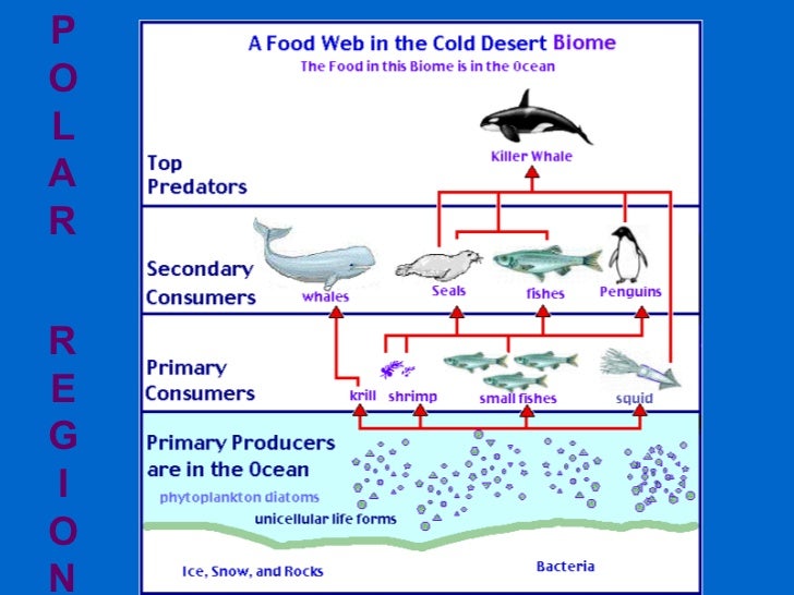 Polar region Notes on various Polar ecosystems including