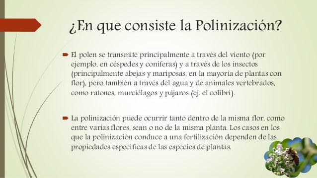 Polinización Polinización