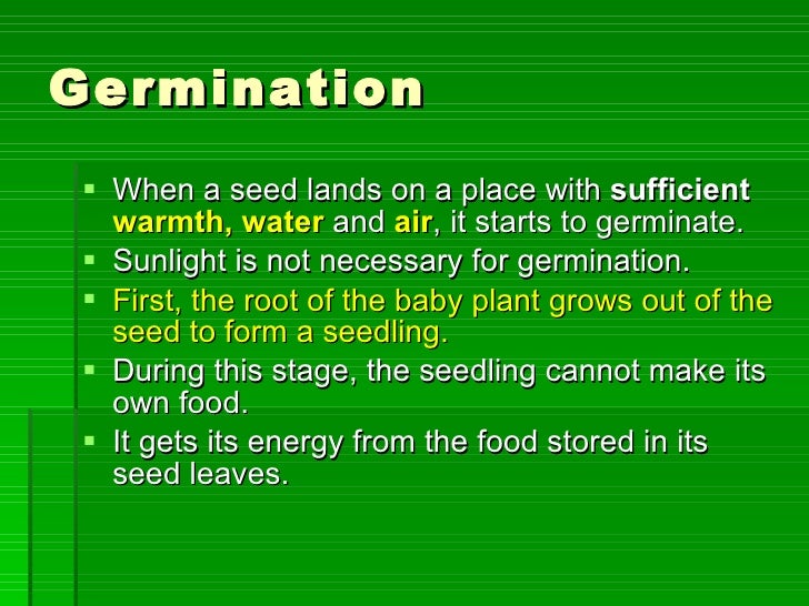 Baby First Food Stage Baby First Food Stage