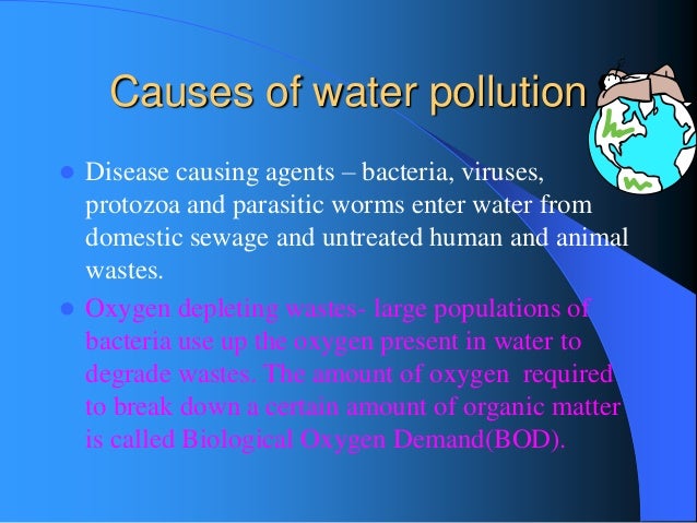 Write an essay about water pollution using cause and effect order