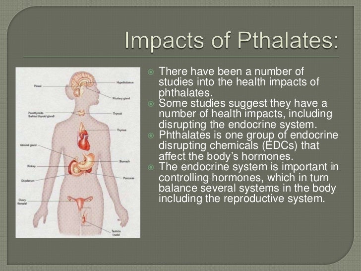 Endocrine Disruptors and DDT