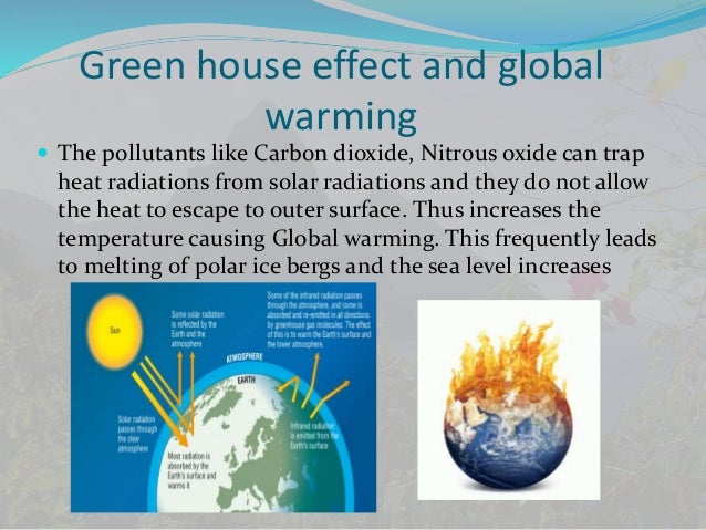 Causes Of Global Warming Essay