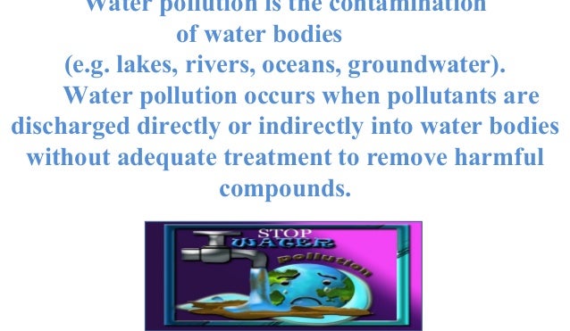 Cause And Effect Of Water Pollution Essay