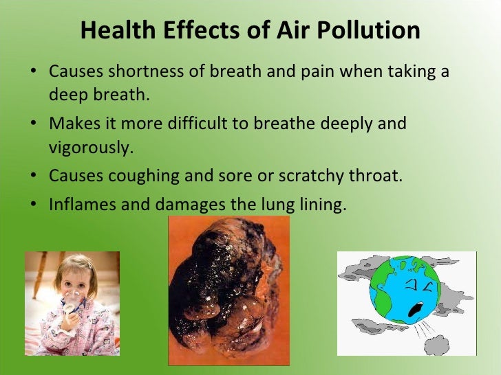 Complete Essay On Pollution And Its Effects For College Students