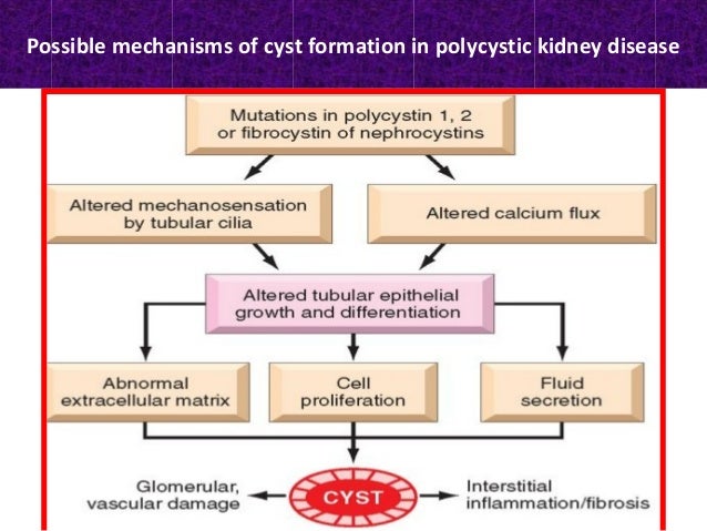 Kidney transplant exclusion criteria kidney sickness and itching