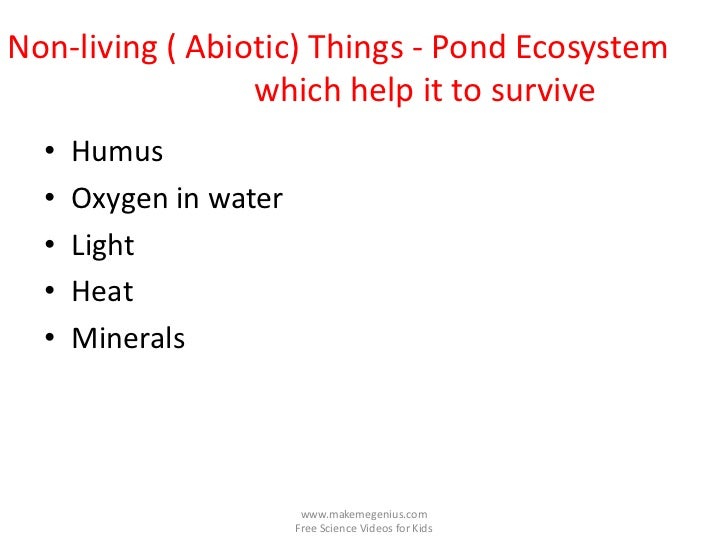Non-living ( Abiotic) Things - Pond Ecosystem                 which help it to survive  •   Humus  •   Oxygen in water  • ...