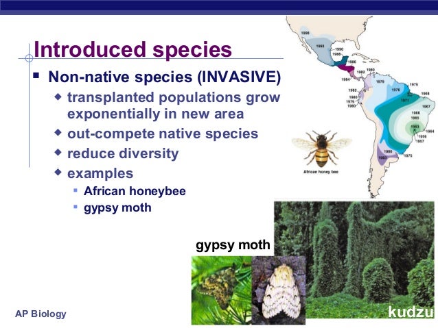 introduced species examples