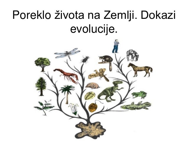 poreklo-zivota-na-zemlji-dokazi-evolucij
