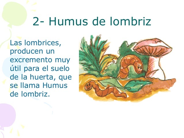 Como es posible sacar las lombrices a kurey