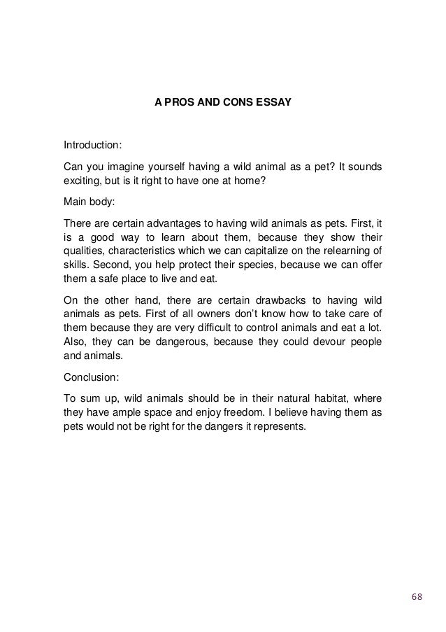 My first flight essay