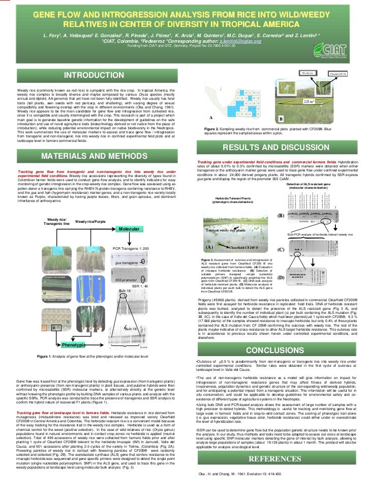 free biology of tumors surfaces immunology and