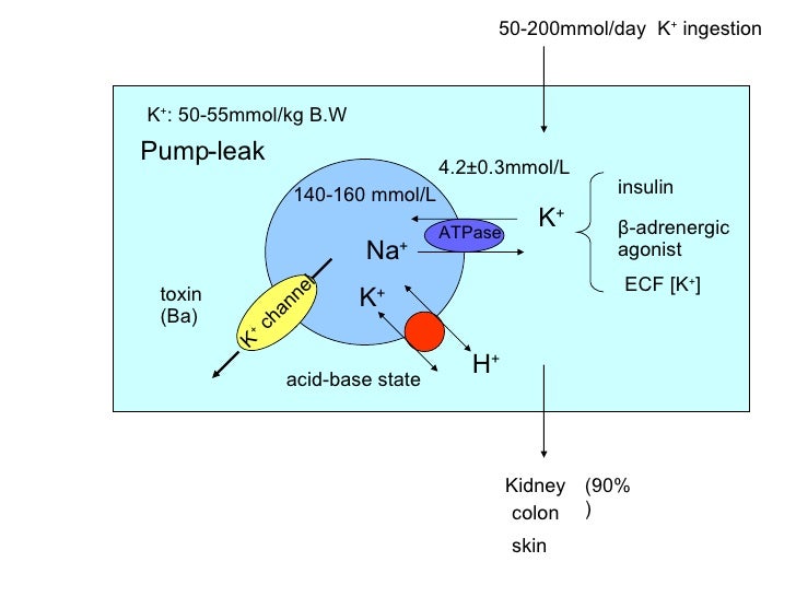 Potassium Imbalance