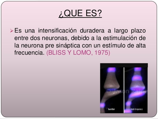 Potenciacion a Largo Plazo (LTP)