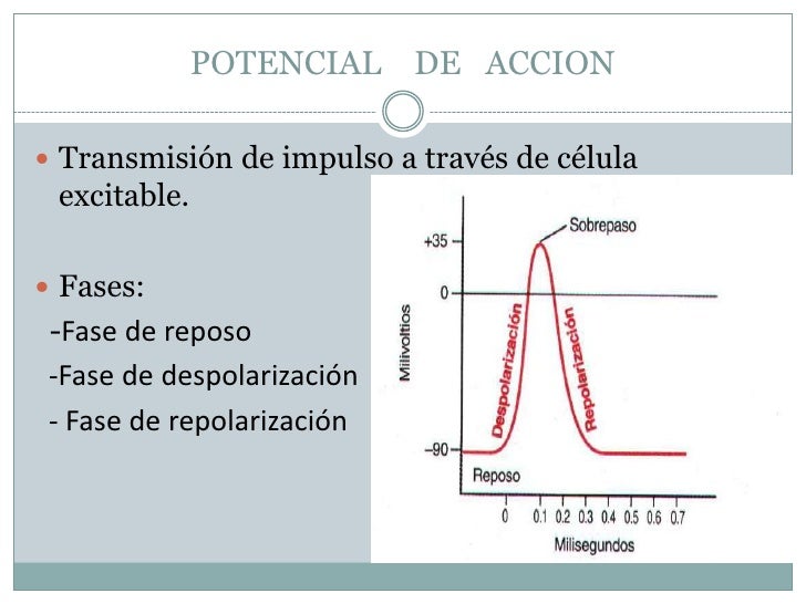 Potencial de acción.
