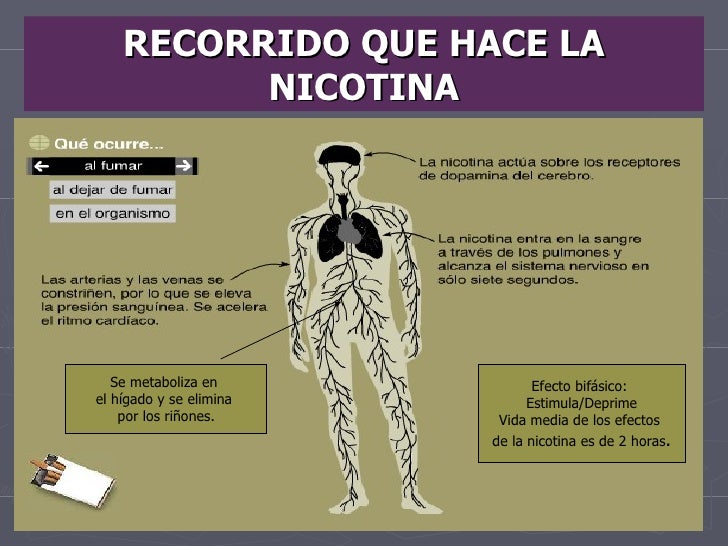 Si tomaré el peso cuando dejaré a fumar
