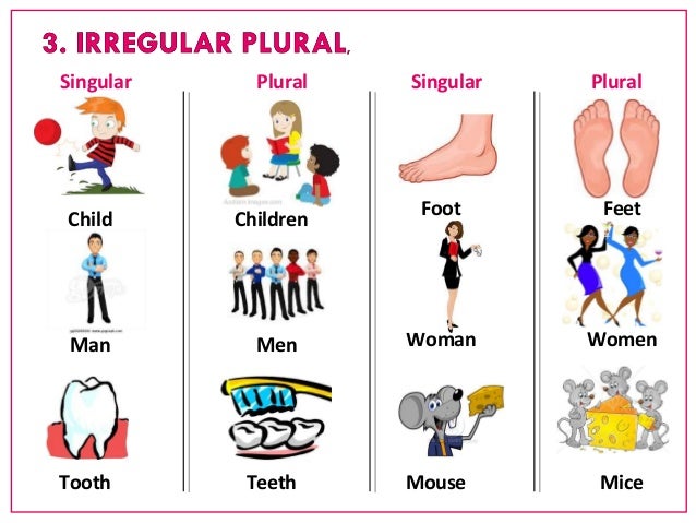 singular-and-plural-images
