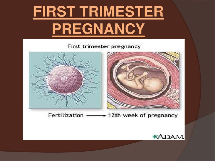 Fetal Development and the three stages of labor and delivery by Sandr…