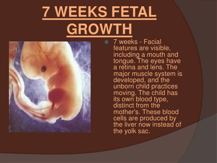 Baby Development At 7 Weeks 3 Days
