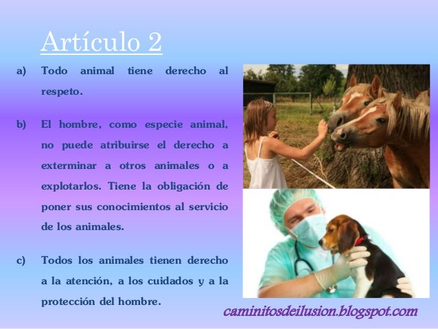 Declaración Universal de los Derechos de los Animales