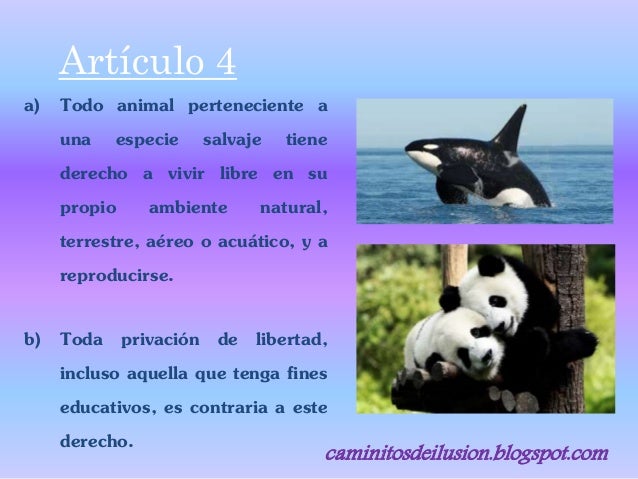 Declaración Universal de los Derechos de los Animales