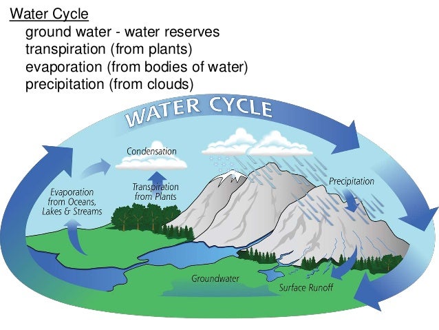 aqa essay cycles biology At the end of aqa unit 5 biology, there is the 25 mark essay question in this video i share my 6 top tips for essay success. aqa essay cycles biology At the end of aqa unit 5 biology, there is the 25 mark essay question in this video i share my 6 top tips for essay success.