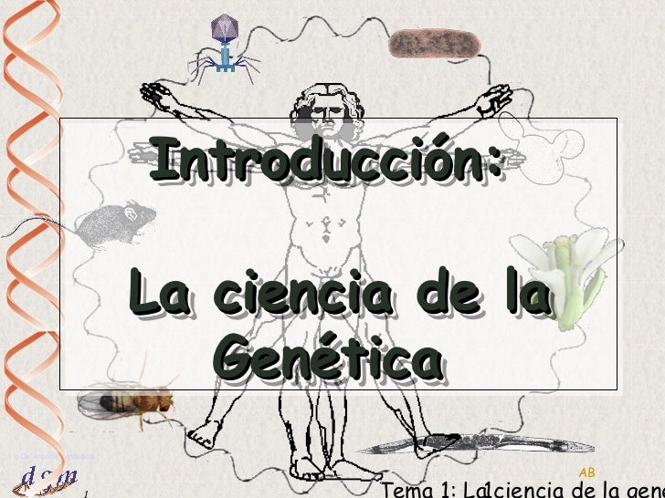 GENETICA POWER POINT genetica power point: