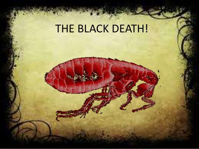 Essay on the black death