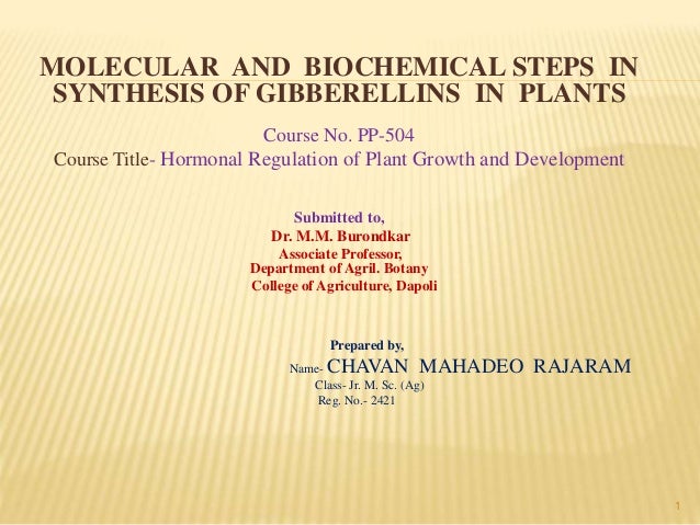 biochemical steps chemosynthesis biochemical steps chemosynthesis