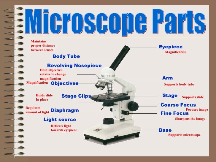 Microscope