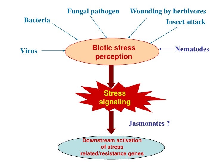 Jasmonates and Biotic ...