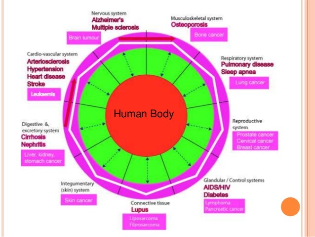 Essay about lifestyle diseases