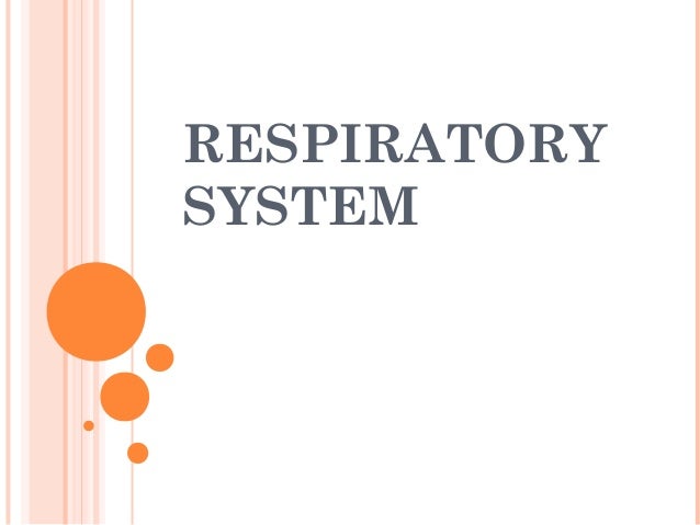 anatomy and physiology of the respiratory system ppt