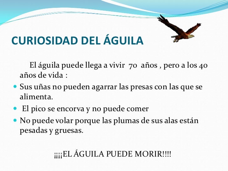 Su cuerpo esta cubierto por muchas plumas.