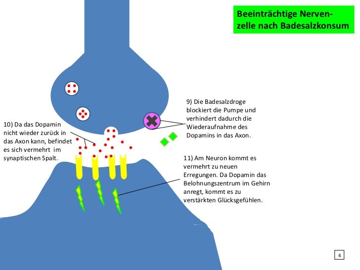Wirkung Von Schlangengift Auf Das Nervensystem Badesalz-Droge Wirkmechanismus im Gehirn