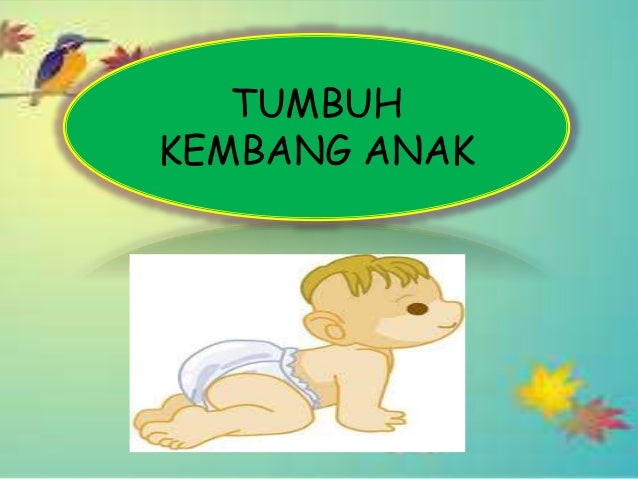 ulasan harga akrilik lembaran 2018