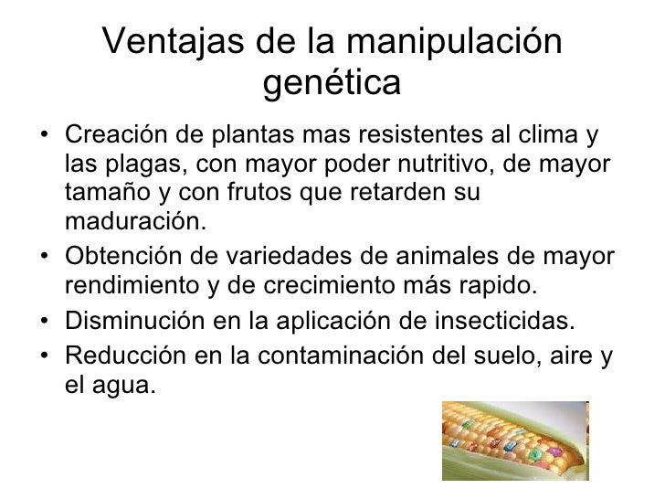 Ventajas Y Desventajas De La Manipulación Genética es.slideshare.net