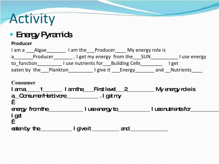 Printables Energy Pyramid Worksheet pyramid worksheets davezan energy davezan