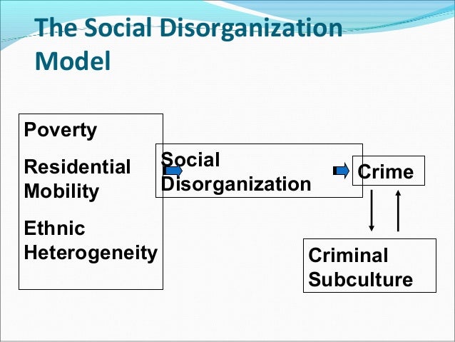 essays on social inclusion Disclaimer: this essay has been submitted by a student this is not an example of the work written by our professional essay writers any opinions, findings. essays on social inclusion Disclaimer: this essay has been submitted by a student this is not an example of the work written by our professional essay writers any opinions, findings.