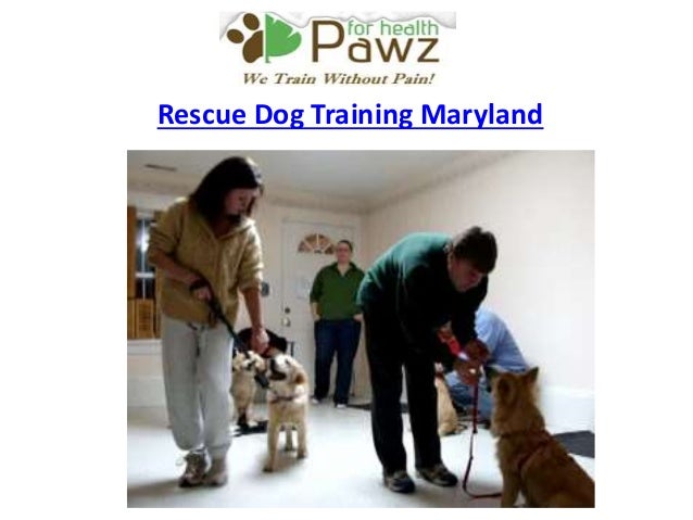 puppy rescue maryland amazing rescue maryland puppy rescue maryland amazing rescue maryland
