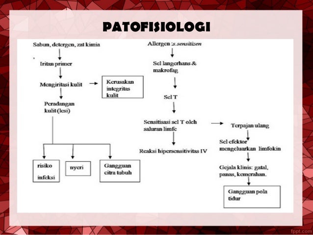 Dermatitis Dermatitis