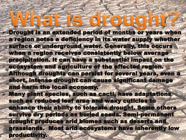 Drought in rajasthan 2002 case study ppt image