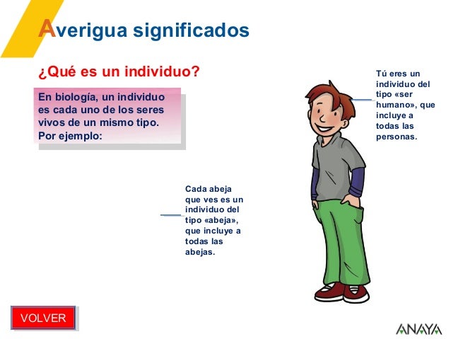 TEMA 3 CONO 3º