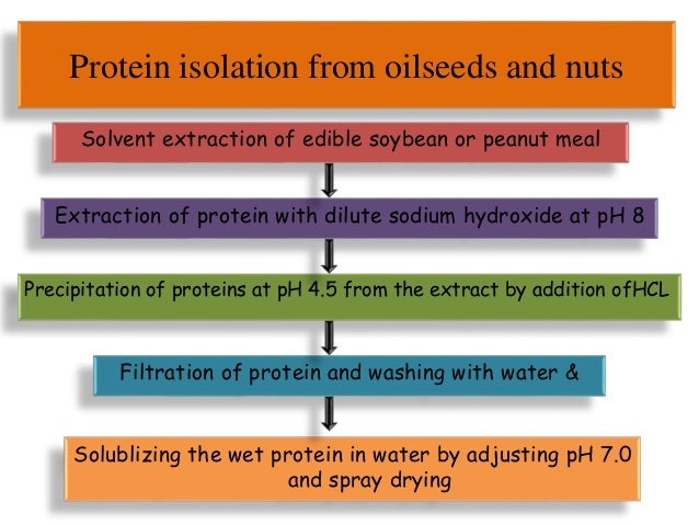 extraction and isolation of proteins extraction and isolation of proteins