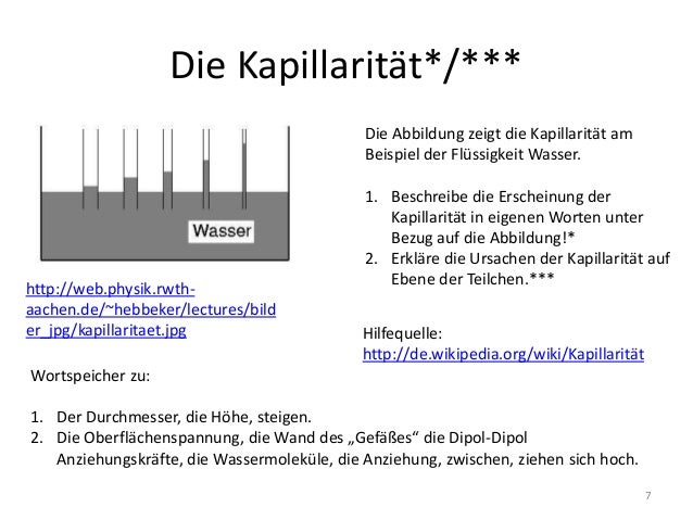PPT Stofftransport und Stoffaufnahme in Pflanzen
