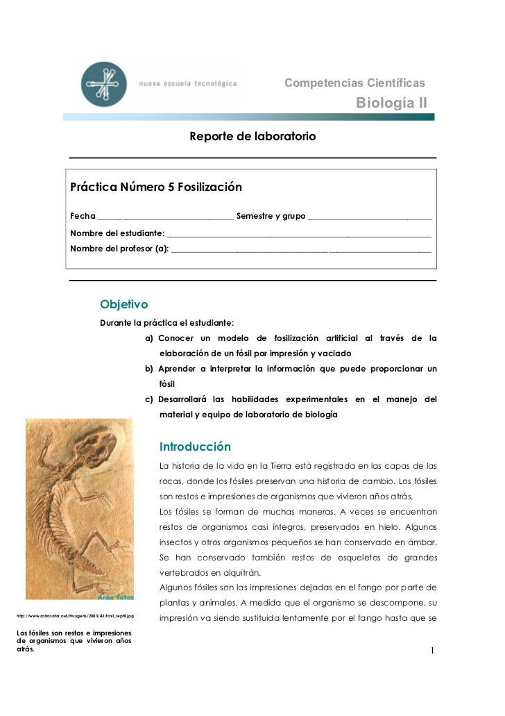 IMAGENES DE PRACTICAS DE LABORATORIO imagenes de practicas de laboratorio: